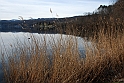 Avigliana Lago Grande In Inverno_058